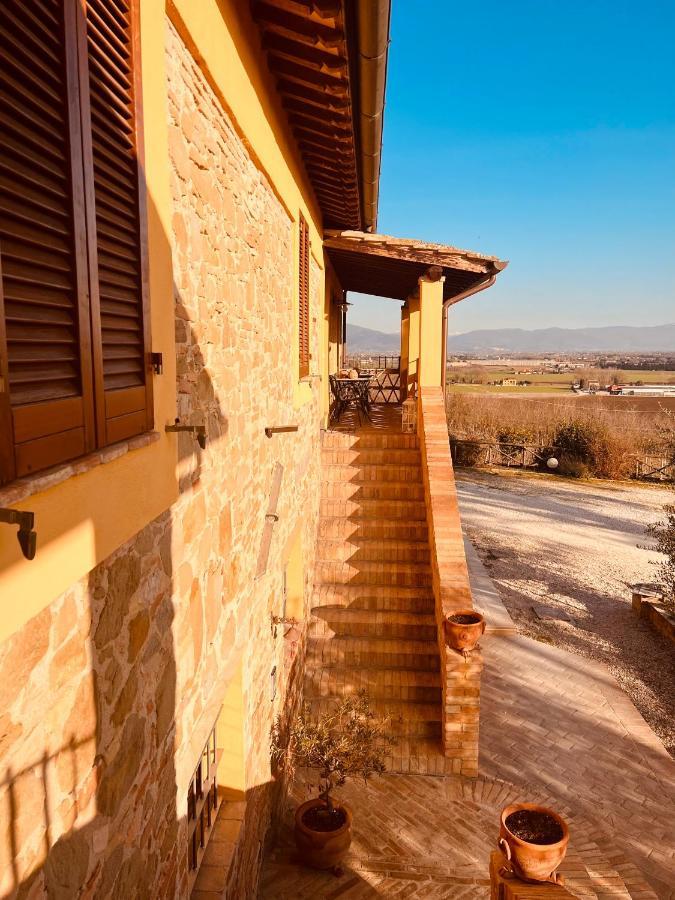 Agriturismo Il Divin Casale Torgiano Exterior photo